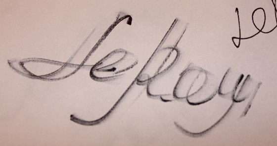 Logotypes: LeRoy